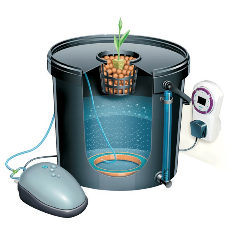 Dwc Aerobucket Completo 4