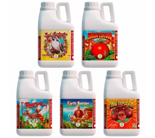 Kit BOOSTER - High Nutrients