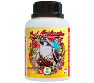 Bud Accelerator - 250ml