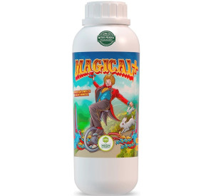 Magical+ - 1 Litro