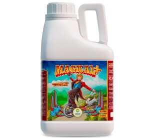 Magical+ - 5 Litros