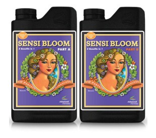 Sensi Bloom - (A + B) de 500ml a 10 Litros