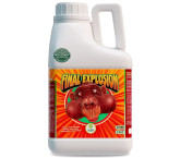 Final Explosion - 5 Litros