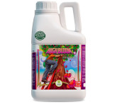 High Bloom - Parte B - 20 Litros