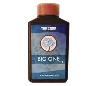 Big One - Energy Booster - 5 Litros