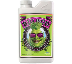 Big Bud - 250ml