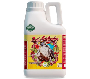 Bud Accelerator