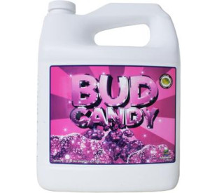 Bud Candy