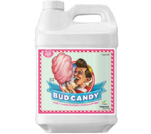Bud Candy - 4 Litros