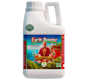 Earth Booster
