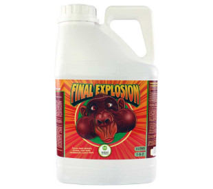 Final Explosion High Nutrients
