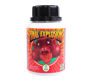 Final Explosion