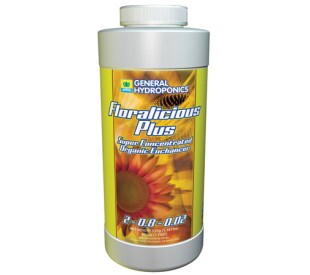 Floralicious Plus - 16oz (473ml)