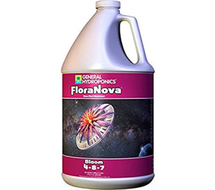 FloraNova Bloom Galao