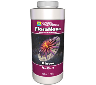 FloraNova Bloom