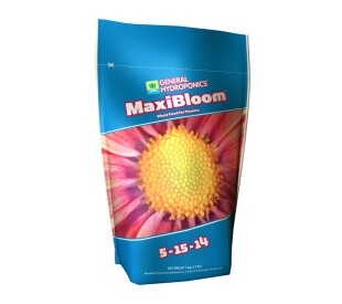 Maxi Bloom - 1kg