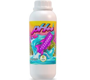pH UP - 1 Litro
