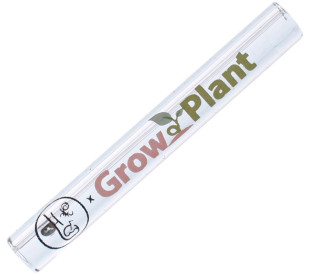 Piteira GrowPlant