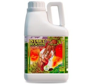 Start Roots