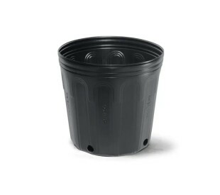 Vaso Nutriplan 5 litros