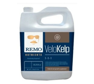 Velokelp Remo