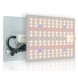 Quantum Board - 65w - Samsung LM281B