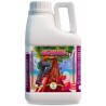 High Bloom B High Nutrients