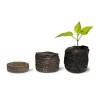 Celula de germinação Jiffy