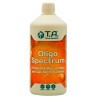 OligoSpectrum