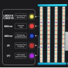 Quantum Bar 800w