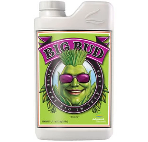 Big Bud