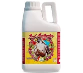 Bud Accelerator - 5 Litros