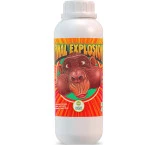 Final Explosion - 1 Litro