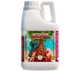 High Bloom - Parte A - 5 Litros