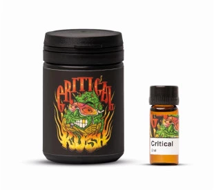 Terpeno - Critical Kush 