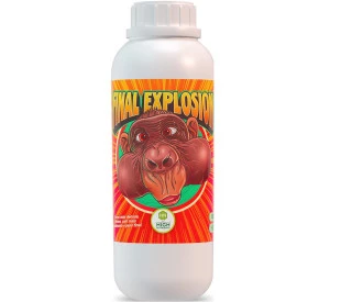 Final Explosion High Nutrients