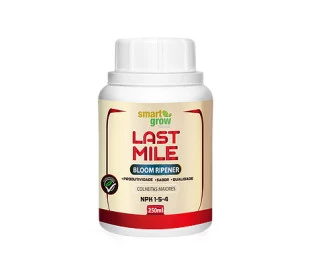 Last Mile