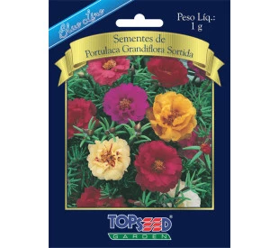 Semente de Portulaca