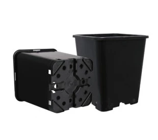 Vaso Quadrado Anti Stress
