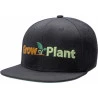 bone da growplant