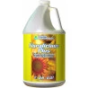 Floralicious Plus General Hydroponics