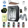 kit cultivo indoor