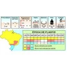 Sementes Abóbora Japonesa