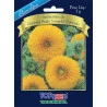 Semente de Girasol Anao