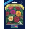 Semente de Portulaca