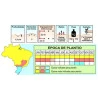 Sementes de Maracujá