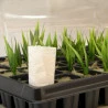 Gerador de CO2 - Green Pad Jr